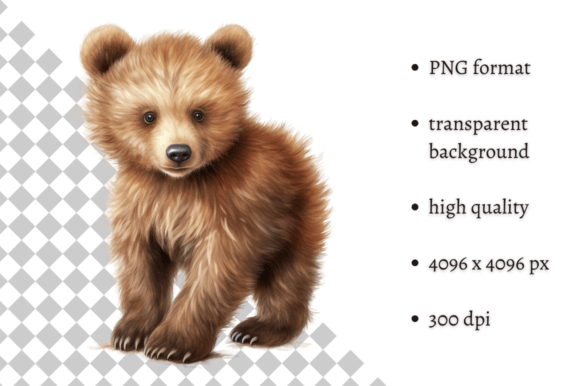 Download Watercolor Baby Bear PNG Clipart - Watercolor Collection